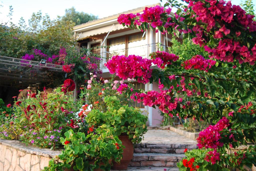 Villa Niki Plataria Bagian luar foto