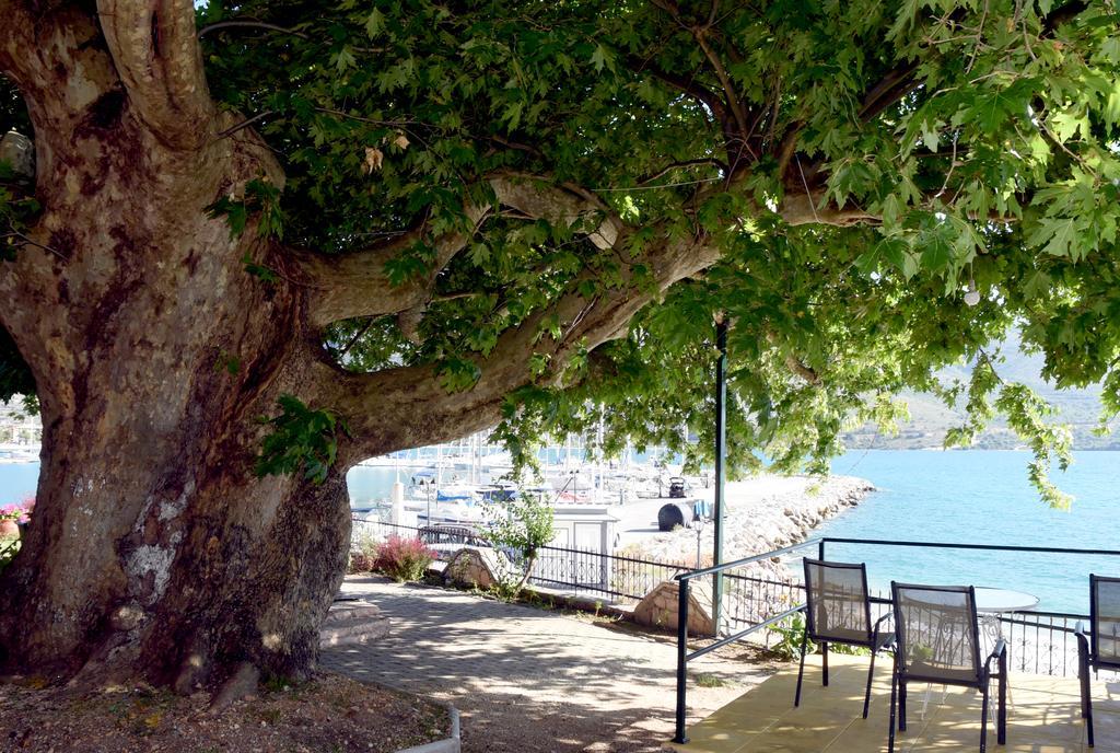 Villa Niki Plataria Bagian luar foto